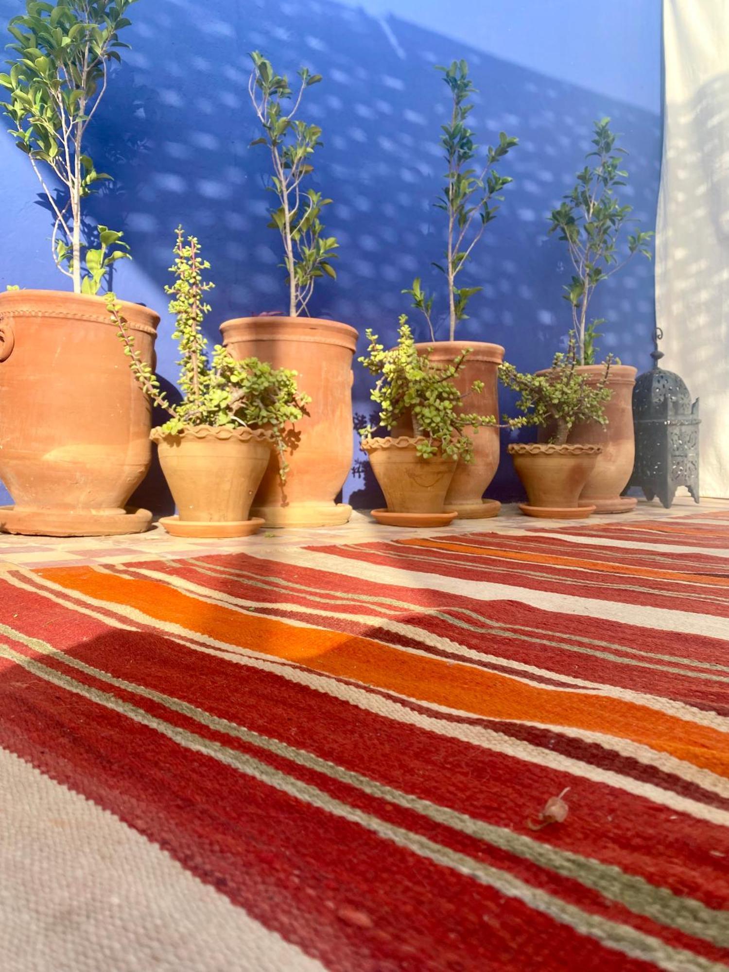 Riad La Perle De Bacha Marakéš Exteriér fotografie